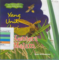 Yang unik dari lentera malam