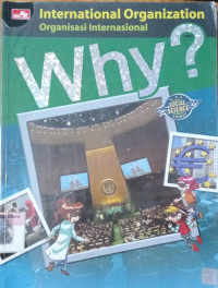 Why? ; International Organization