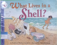 What Lives in a Shell?