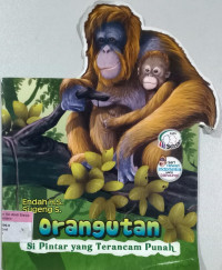 Orangutan; Sipintar yang terancam punah