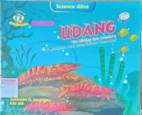 Udang ; si Makhluk Laut yang selalu sembunyi