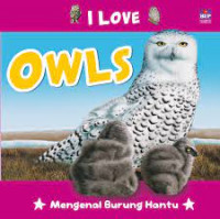 I Love Owls ; Mengenal Burung Hantu