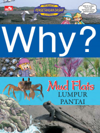 Why? Mud Flats