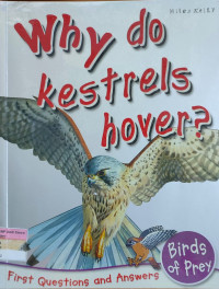 Why Do Kestrels Hover?